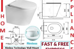 AALTO RIMLESS WALL-MOUNT WATER CLOSET H057-R / FREE EXPRESS DELIVERY